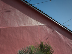 路地裏 引立て合う