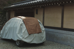 あと5分だけ 春眠