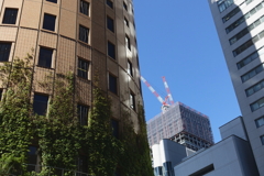 マルビル 再開発