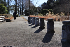 冬の公園