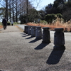 冬の公園