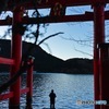 箱根神社の平和の鳥居で参拝している人