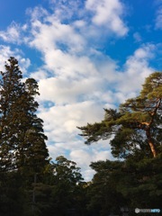 伊勢神宮内宮参道の上空