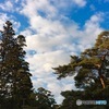 伊勢神宮内宮参道の上空