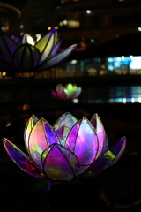 グラングリーン大阪の花
