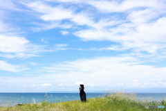 夏の駿河湾