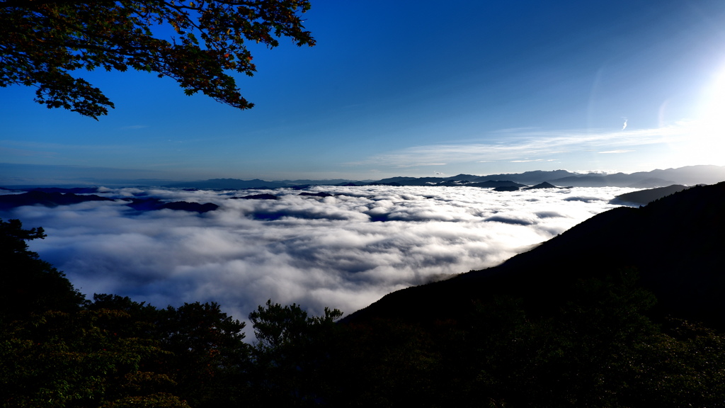 奥高野 立里荒神社からの雲海