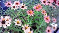 自作改造カメラ