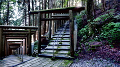 奥高野 立里荒神社