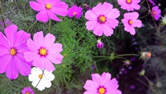 自作改造カメラ