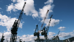 三連休のクレーンたち