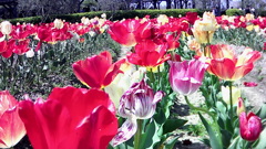 自作改造アクションカメラから　その1