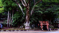 奈良県野迫川村柞原