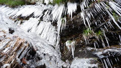 氷柱