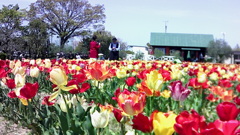 自作改造アクションカメラから　その2