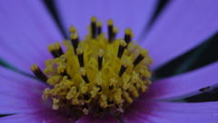 DSCF3501