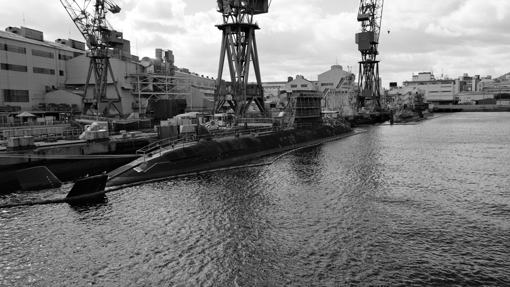 くじらたちの休日