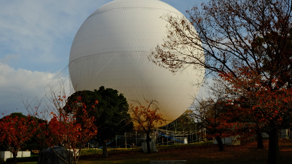 堺市堺区大仙公園