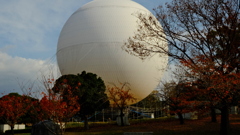 堺市堺区大仙公園