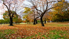 堺市堺区大仙公園