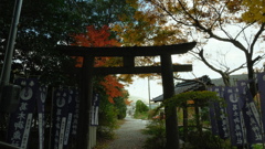 ​葛木御歳神社