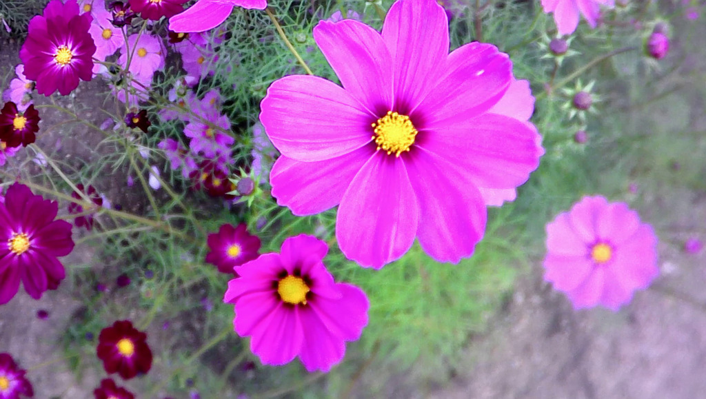 自作改造カメラ