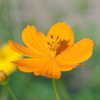 DSCF3623