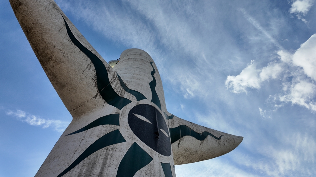 背中の文様が目に入らぬか！