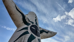 背中の文様が目に入らぬか！