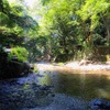 滝の下第2弾