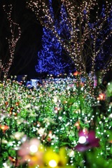 イルミネーション