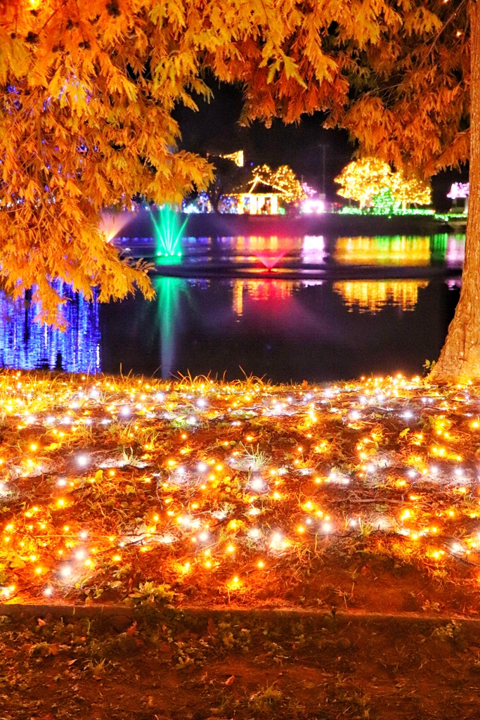 紅葉を感じさせてくれる