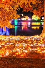 紅葉を感じさせてくれる