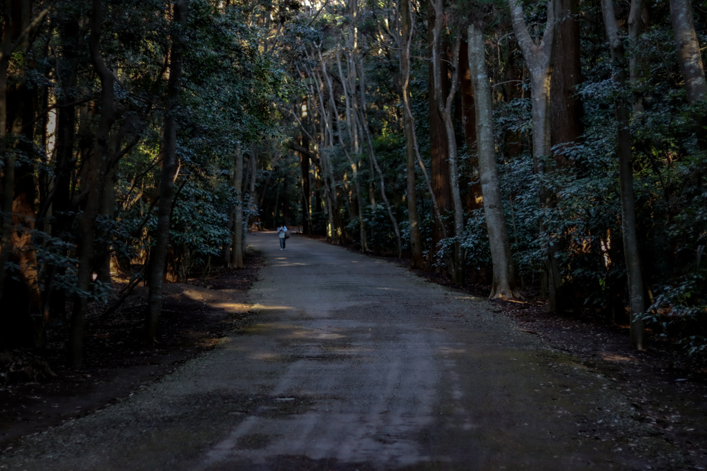 鹿島神宮の道中