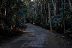 鹿島神宮の道中