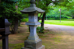 なんという名前か忘れました…