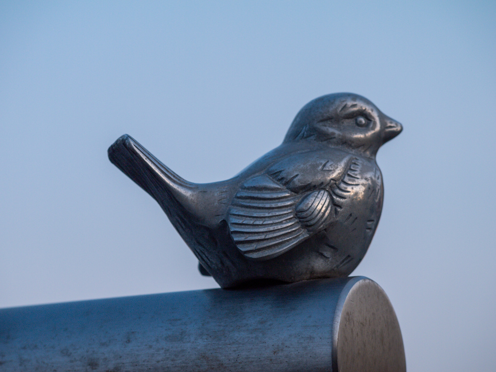鳥を撮りたくて
