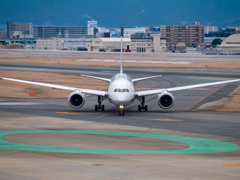 ANA顔