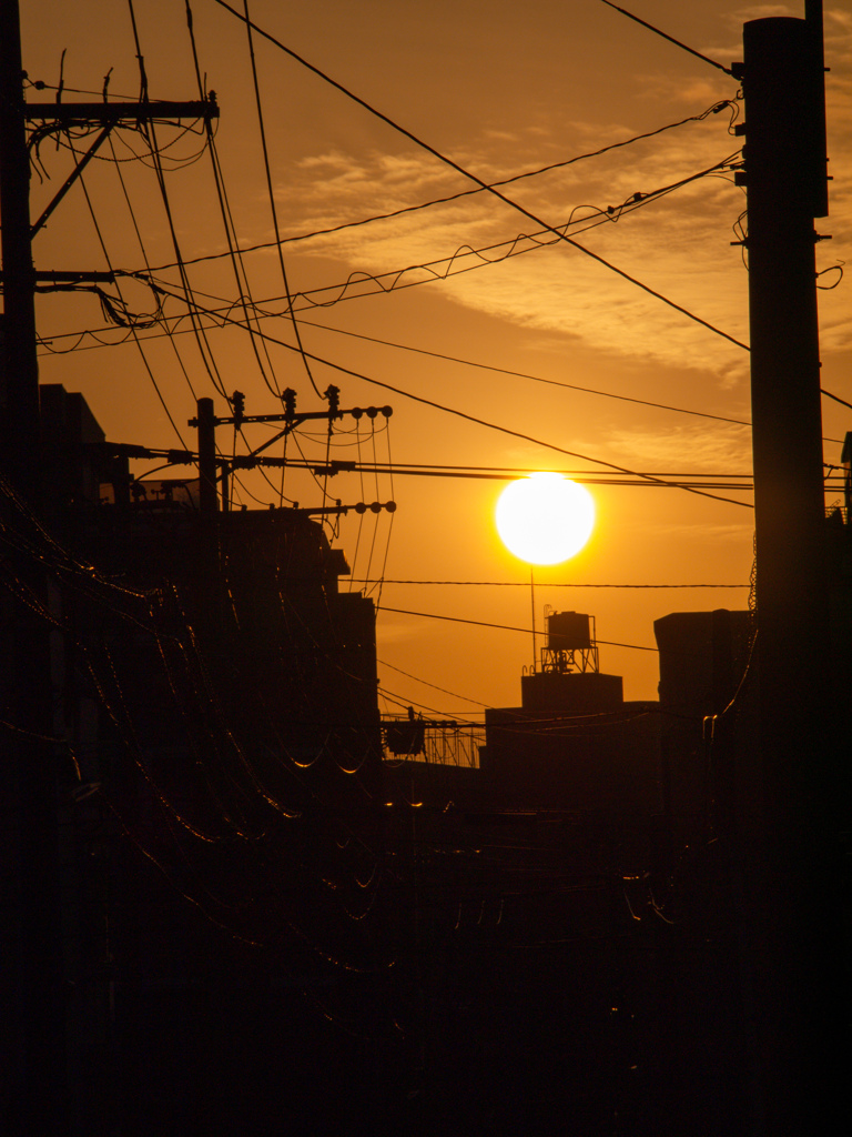 太陽