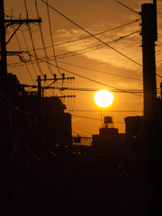 太陽