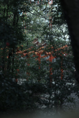 覗き見