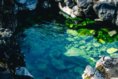 草津の湯