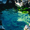 草津の湯