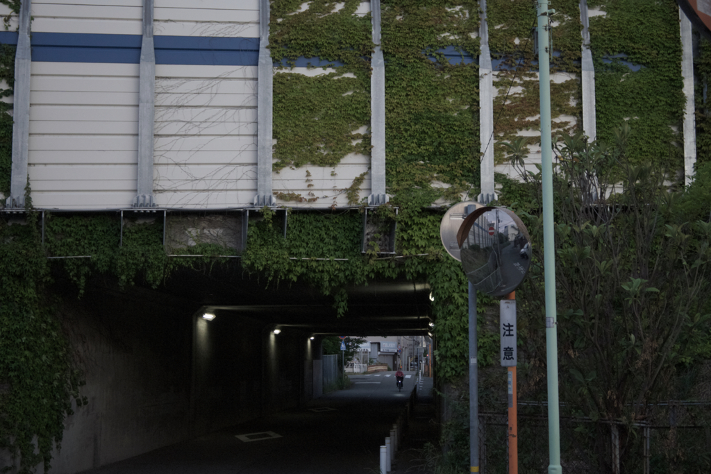 道