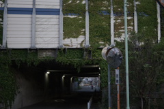 道