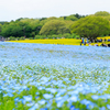 水色・黄色・緑色