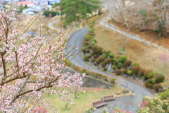 梅路