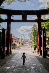 弥彦神社表参道