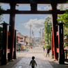 弥彦神社表参道