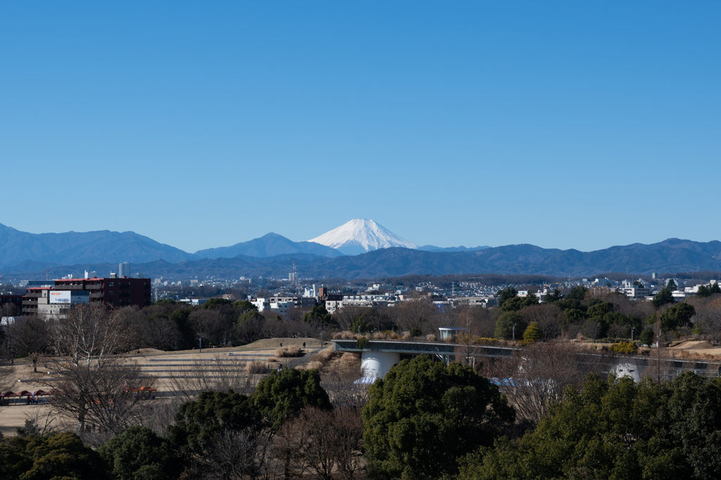 富士山